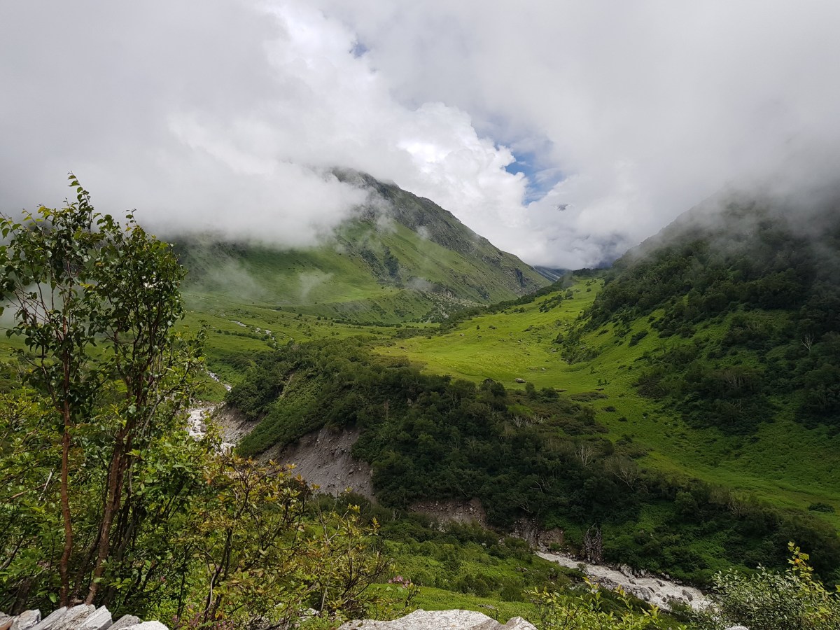 पुष्पावती भेट